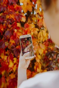 Kaboompics - The woman takes a picture of the autumn leaves with her phone