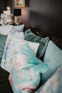 Kaboompics - Blue pillows and black cat