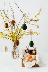Kaboompics - Easter with Forsythia