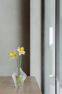Kaboompics - Close-up of a yellow daffodil flower - glass vase