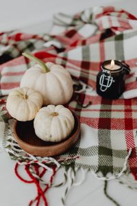 Kaboompics - Blanket - white pumpkins - candle