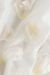 Floral Compositions - Backgrounds - Wallpapers - White Fabric