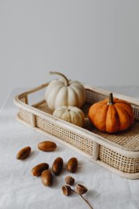 Kaboompics - Pumpkins - basket - acorns