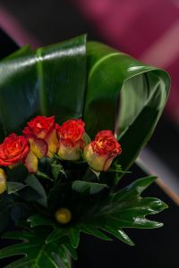 Kaboompics - Close-up of little red and yellow roses