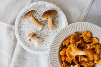 Mushrooms collected in the forest - chanterelles and boletes