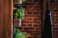 Kaboompics - Fancy interior with a red brick wall and green plants