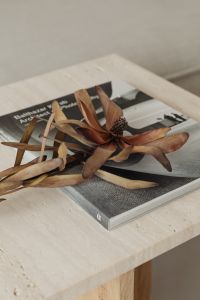 Kaboompics - The book lies on a travertine table - dried flower
