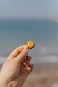 Kaboompics - A woman's hand holds a small shell
