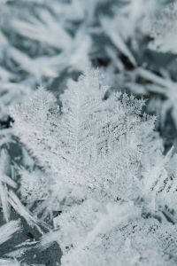 Kaboompics - Snowflakes on a frozen lake - background - wallpaper
