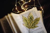 Kaboompics - Leaf, book, fairy lights