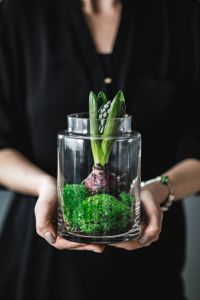 Kaboompics - Woman holding a green seedling planted in a glass pot