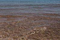 Kaboompics - Soft wave of the sea on the sandy beach