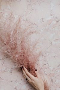 Kaboompics - Pink marble background, female hand and pampas grass