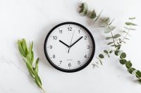 Clock & Twig on White Background
