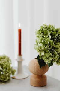 Kaboompics - Green hydrangea - candle