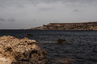 Malta's Seaside Backgrounds - A Collection of Captivating Seascapes - Rocky Cliffs  and Coastal Flora