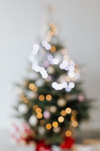 Kaboompics - Blurred Christmas Trees