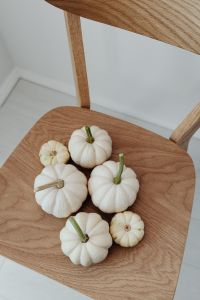 Kaboompics - White pumpkins
