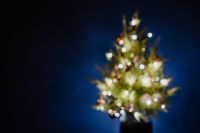 A blurred Christmas tree on a navy blue background