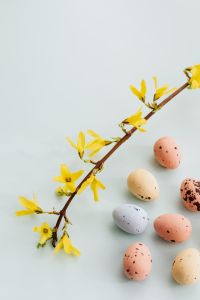 Kaboompics - Easter Eggs & Forsythia