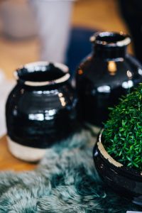 Kaboompics - Green plant in a black pot with black jars and a soft cyan rug