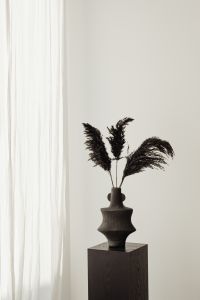 Kaboompics - Vase - black - dried pampas grass