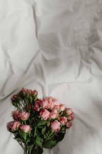 Kaboompics - Roses on Bed
