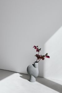 Concept photos - flowers - vase - minimalist interior