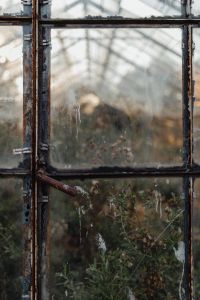 Kaboompics - Dried plants in greenhouse