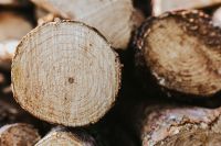 Kaboompics - Wooden logs
