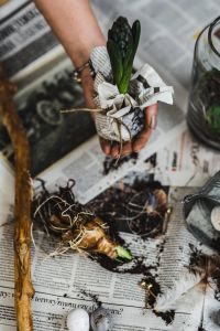 Kaboompics - Woman planting seedlings on a newspaper cover table with quail eggs