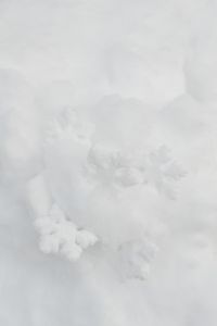 Kaboompics - Decorative snowflakes on fresh snow