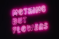 Nothing But Flowers Glowing Neon