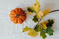 Kaboompics - Oak leaves - pumpkin