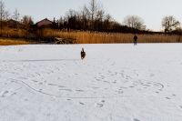 Kaboompics - Man and his dog in middle of frozen lake