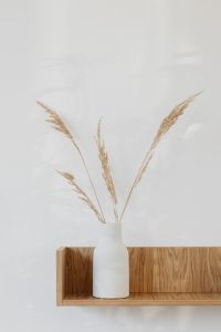 Kaboompics - Dried grass