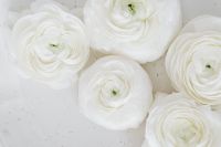 Kaboompics - White buttercups