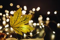Kaboompics - Leaf, fairy lights