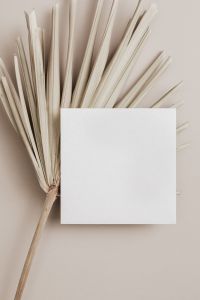 Kaboompics - blank card on palm