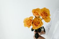 Kaboompics - Orange roses