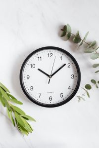 Kaboompics - Clock & Twig on White Background