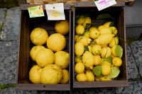Kaboompics - Lemons from Sorrento, Italy
