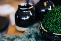 Kaboompics - Green plant in a black pot with black jars and a soft cyan rug
