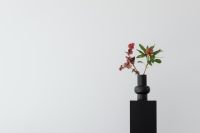 Kaboompics - Concept photos - flowers - vase - minimalist interior