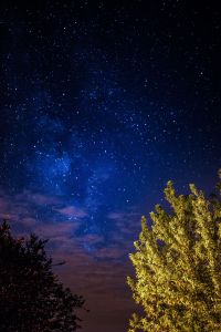 Kaboompics - A trees under the starry sky