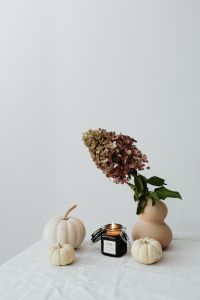 Kaboompics - White pumpkins - candle - hydragea