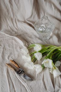 Kaboompics - White tulips and linen fabric background