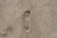 Kaboompics - Footprint in the sand