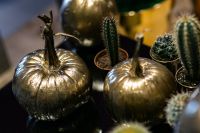 Kaboompics - Golden ornamental pumpkins with cactuses