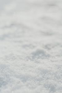 Kaboompics - Fresh snow in the garden